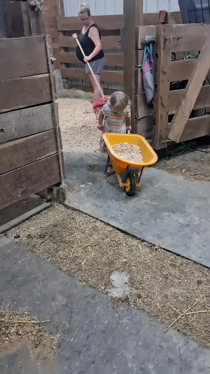 @Taylor | Sah{farm}m