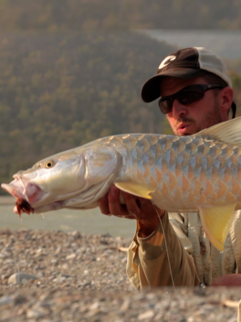 @Fishing TV