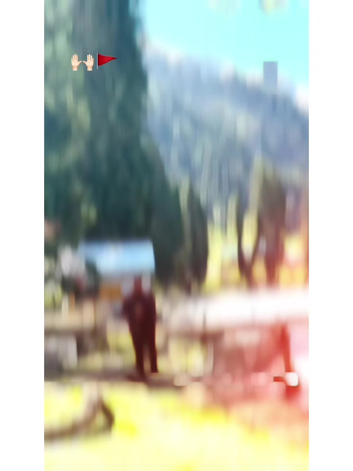 @Raja Hassan Bilal