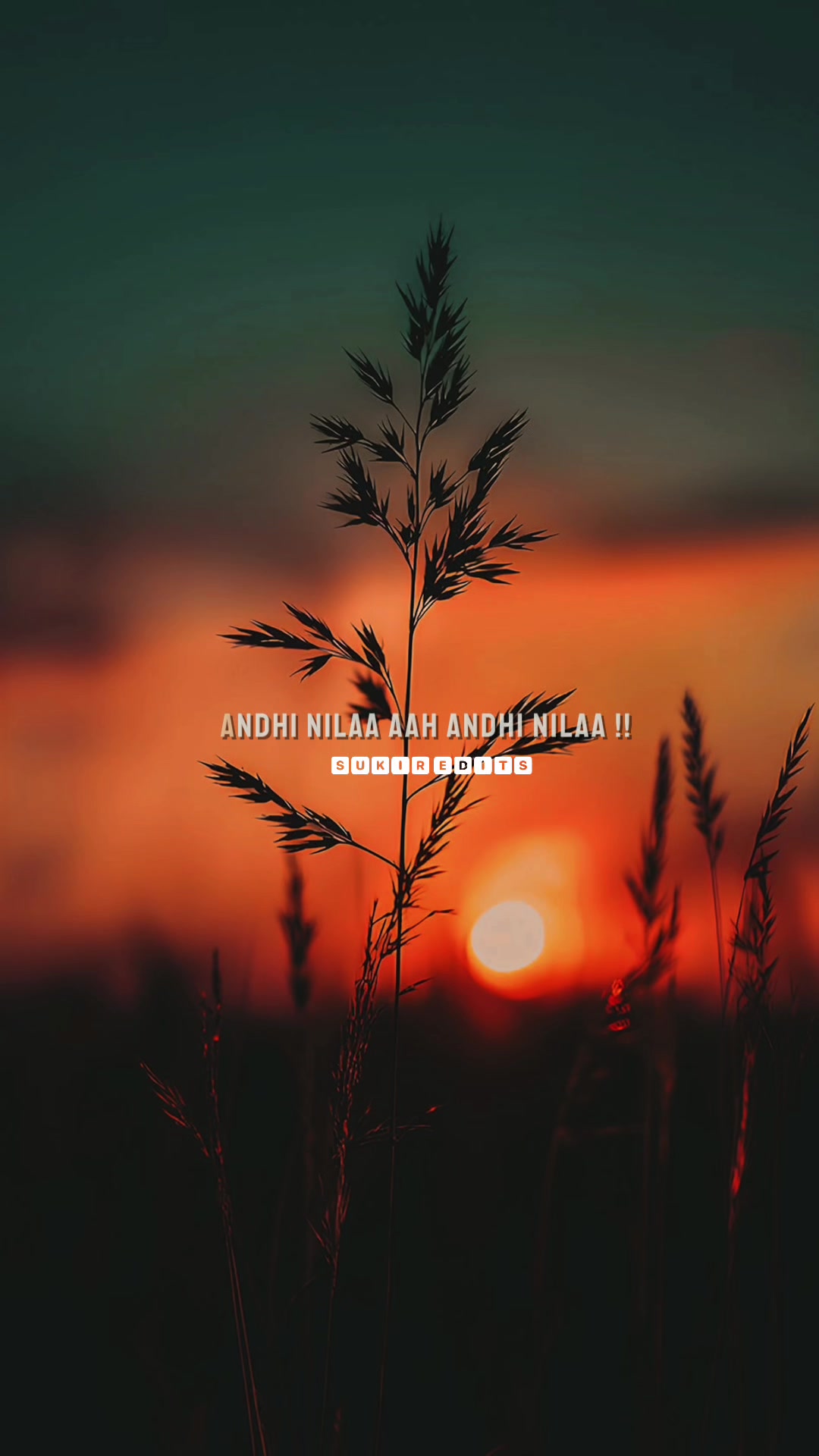 @𝙎𝑼𝙆𝑰𝙍 𝙀𝑫𝙄𝑻𝙎