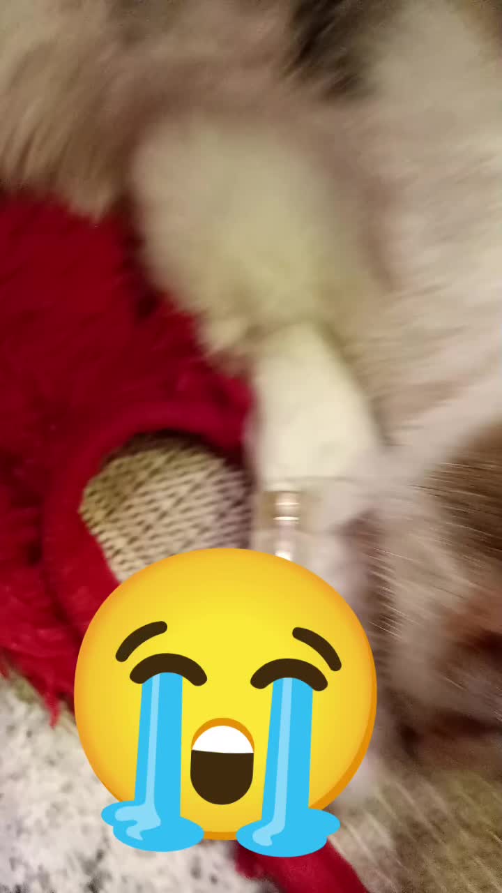 @Vero Jimenez Ferrer
