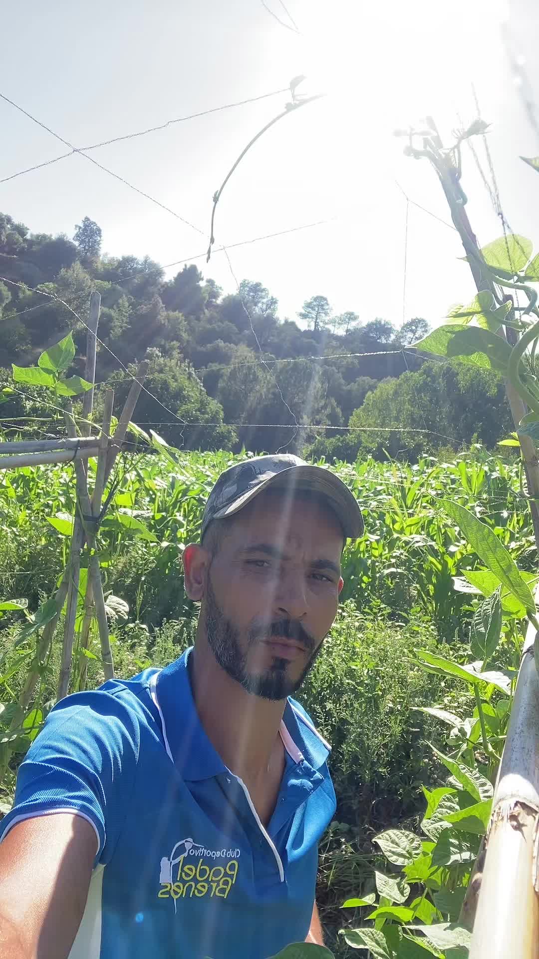 @il&atilde;ss m&iacute; l&atilde; v&iacute;d&acirc;