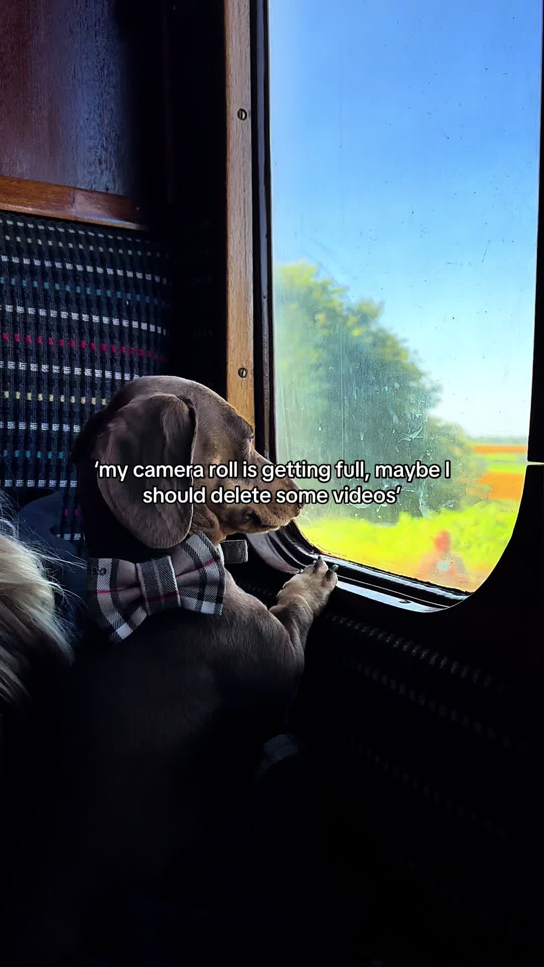 @winston