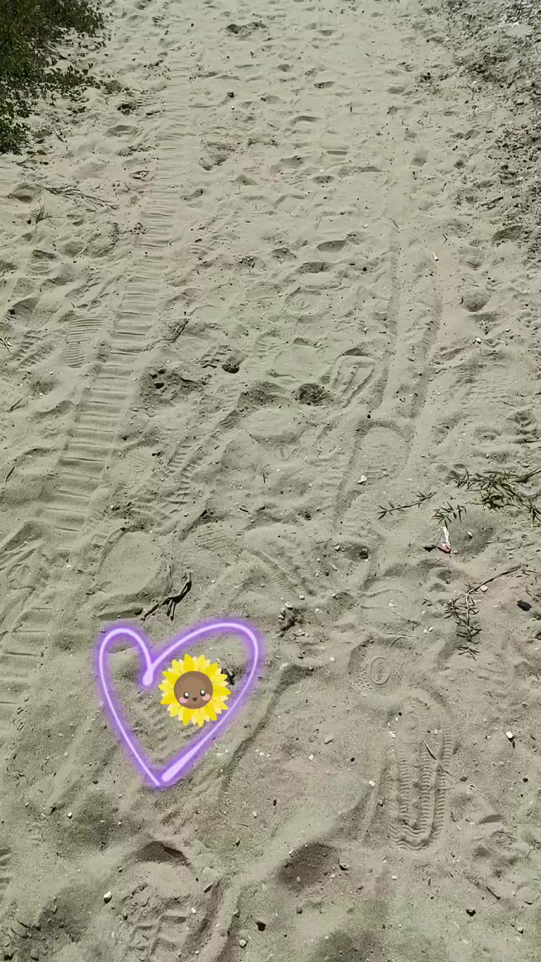 @Hope86🔥🌻💜