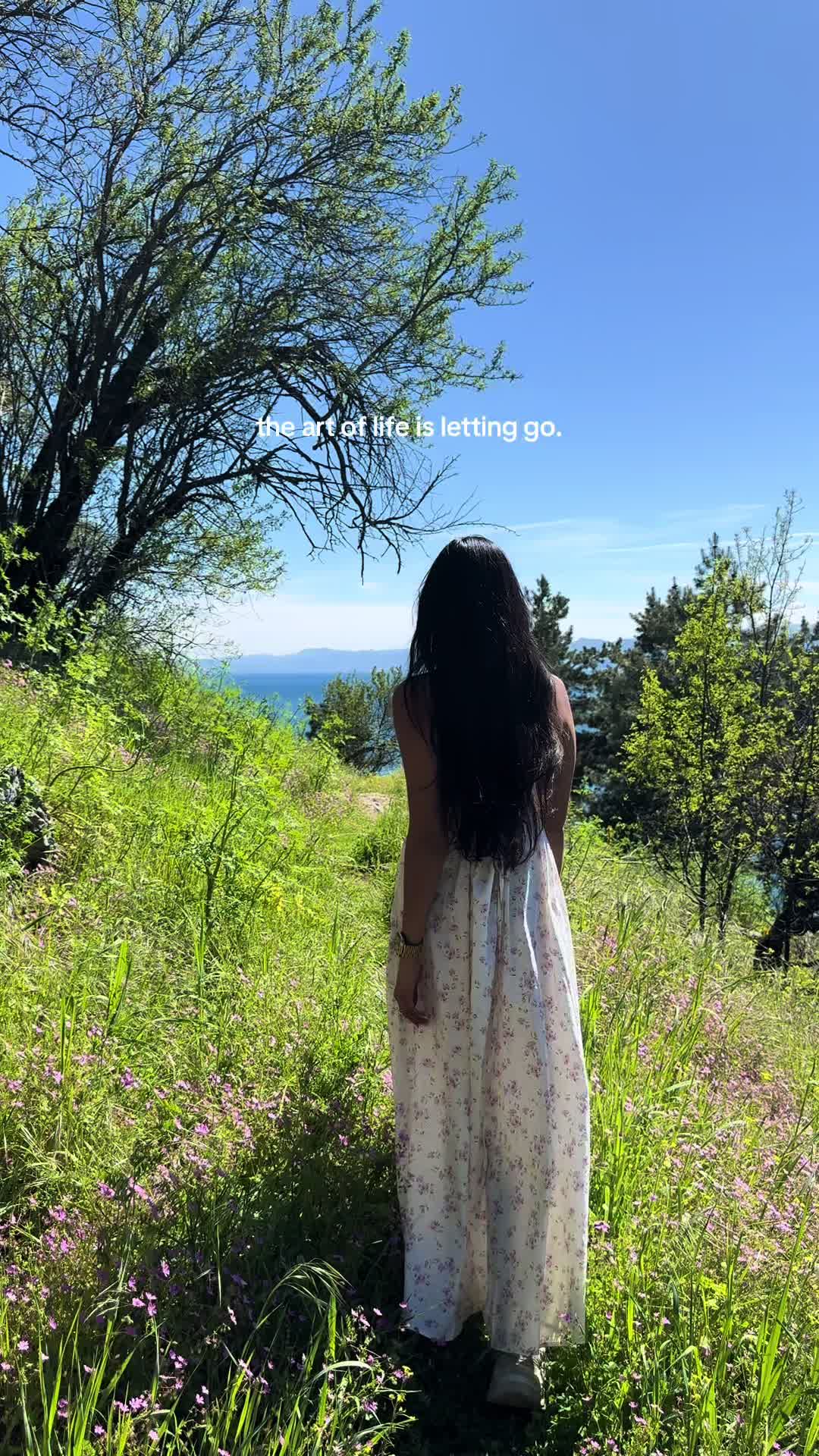 @Saaniya