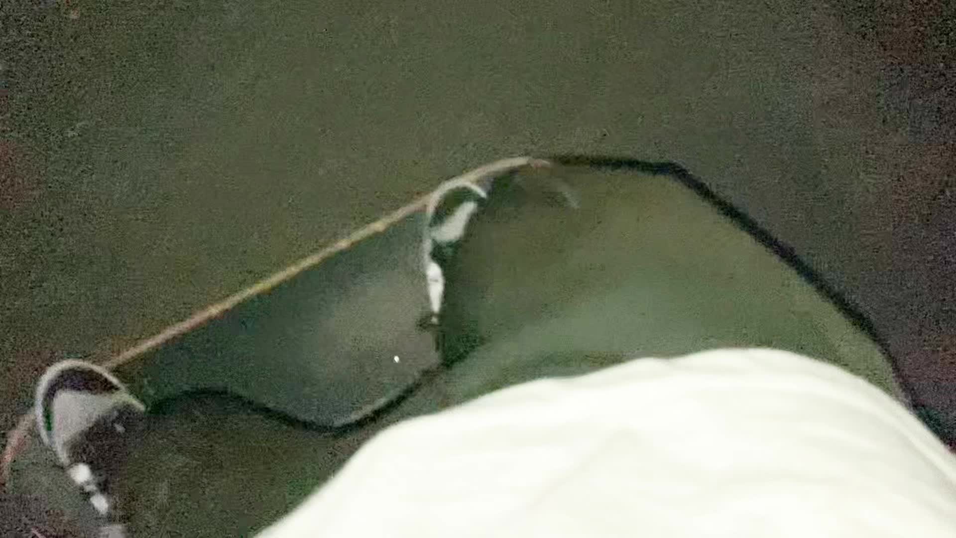 @Psykickz
