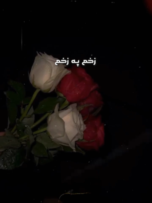 @𝗜𝗱𝗲𝗮𝗹 𝗔𝗱𝘀 𝟮.𝟬