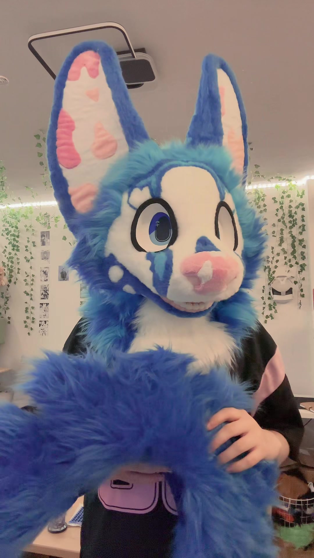@fuzzybee