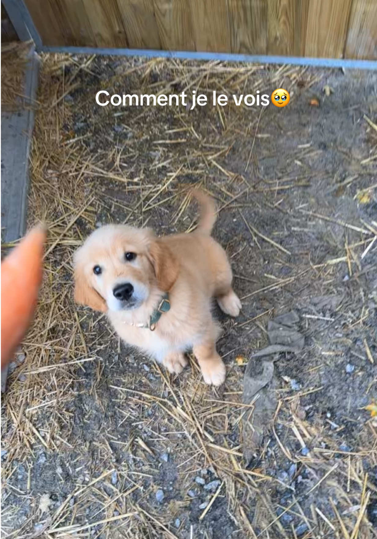 @Ma&euml;lyne cuvelier🤠