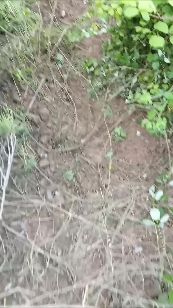 @user37172914728790