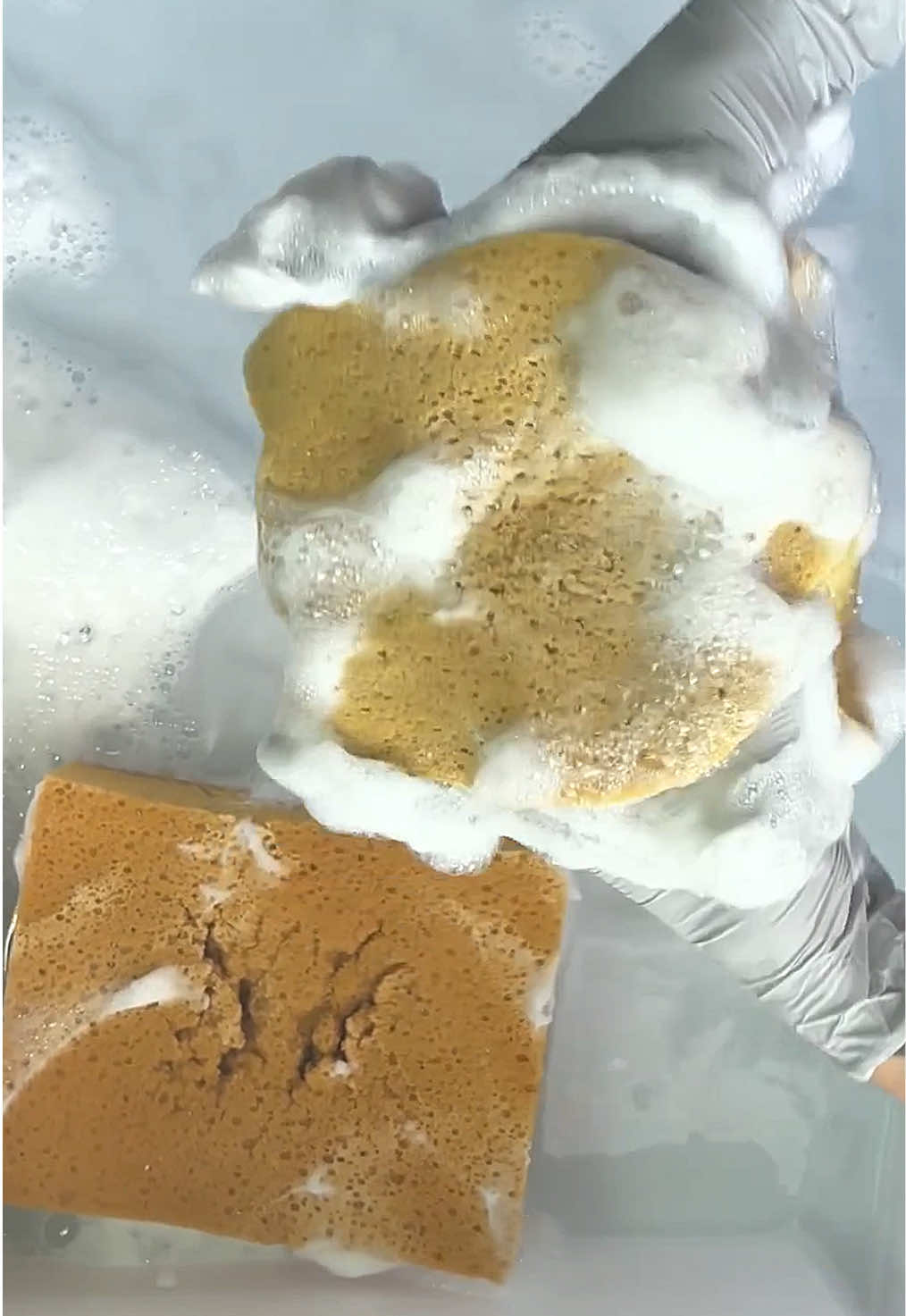 @HD Spongetok