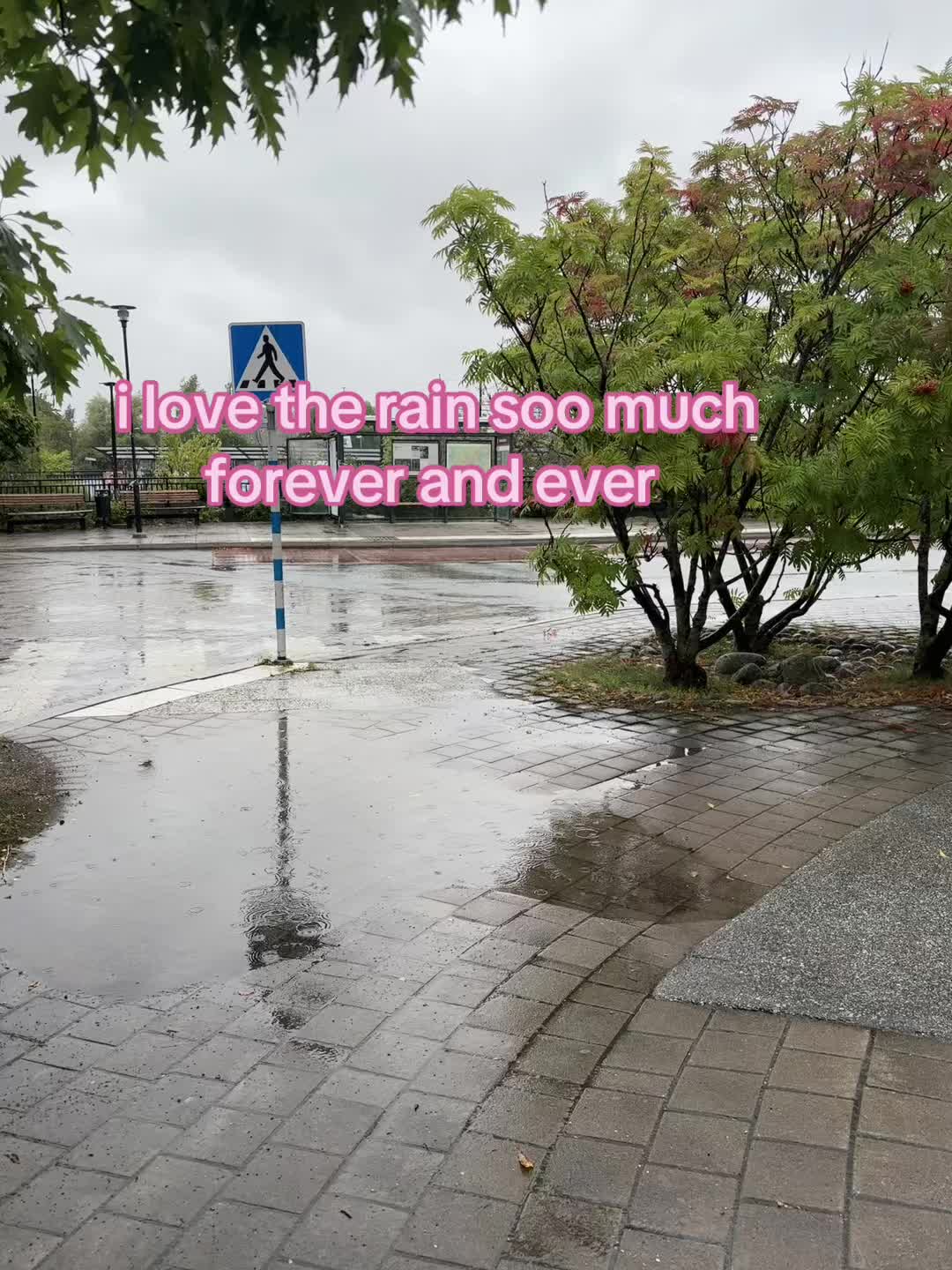 @Liliana 🦢