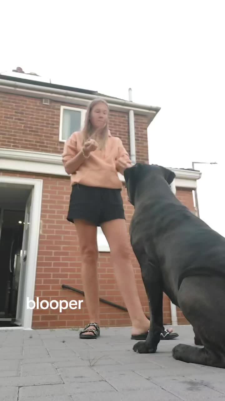 @Canecorspuppy