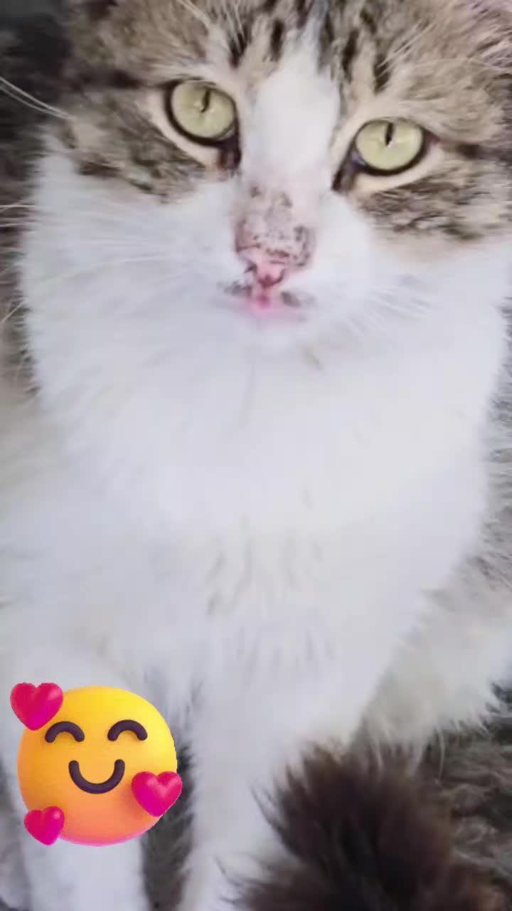 @Zubi🙋♀️زوبی