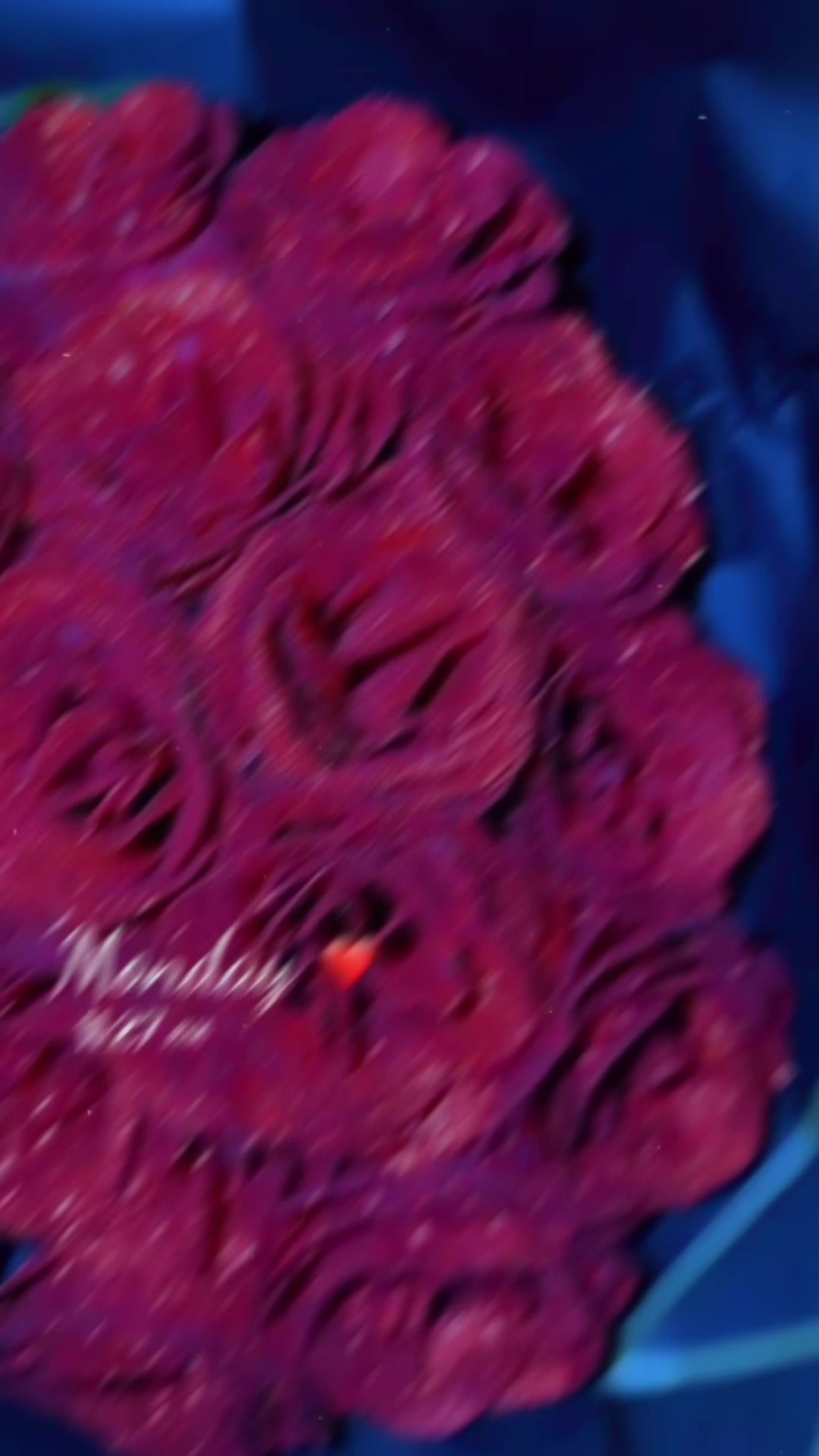 @𝒜𝓇ℴℴ𝒷𝒶 ℛ𝒶𝒿𝓅𝓊𝓉