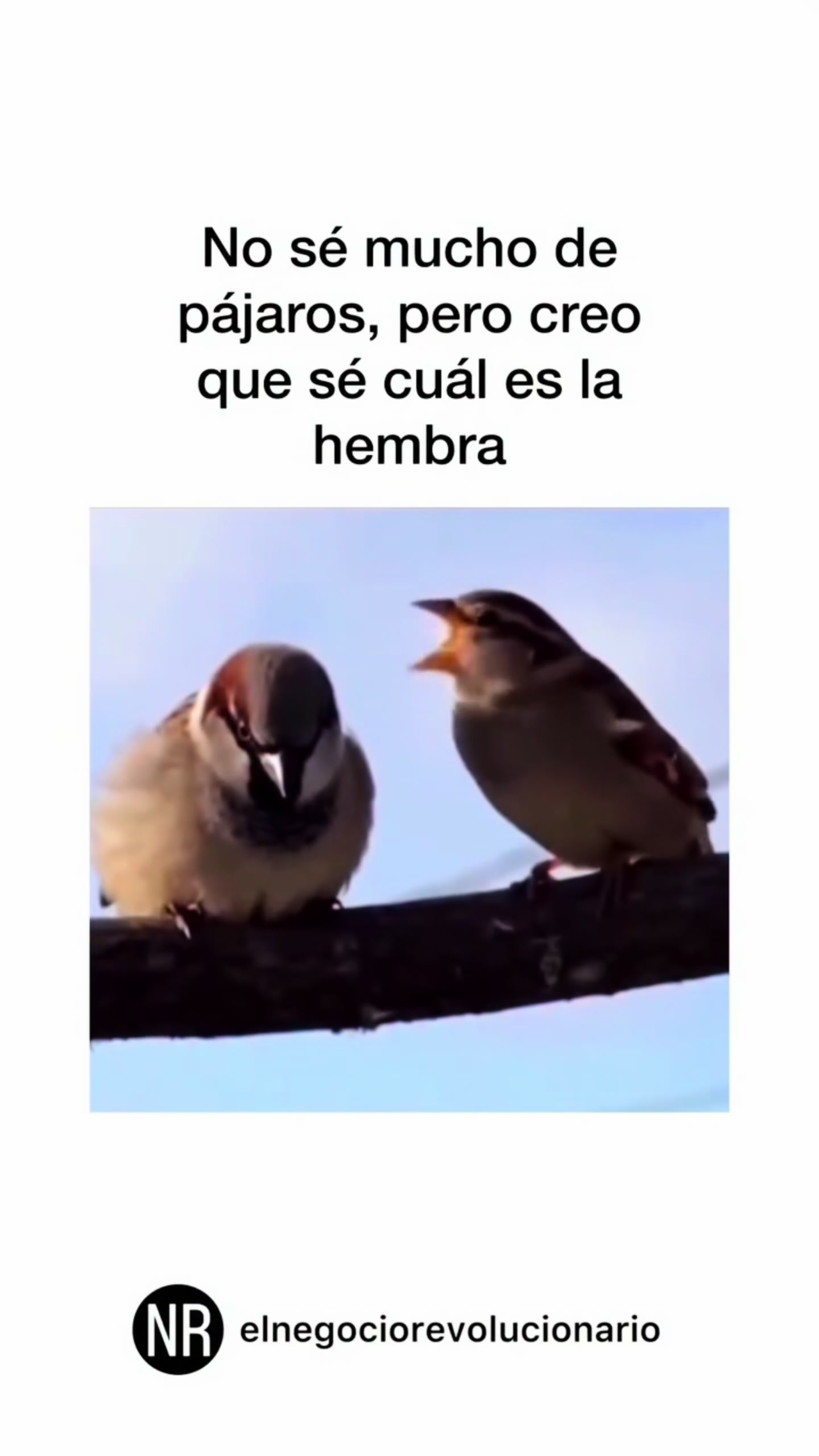 @Pacogiltrainer