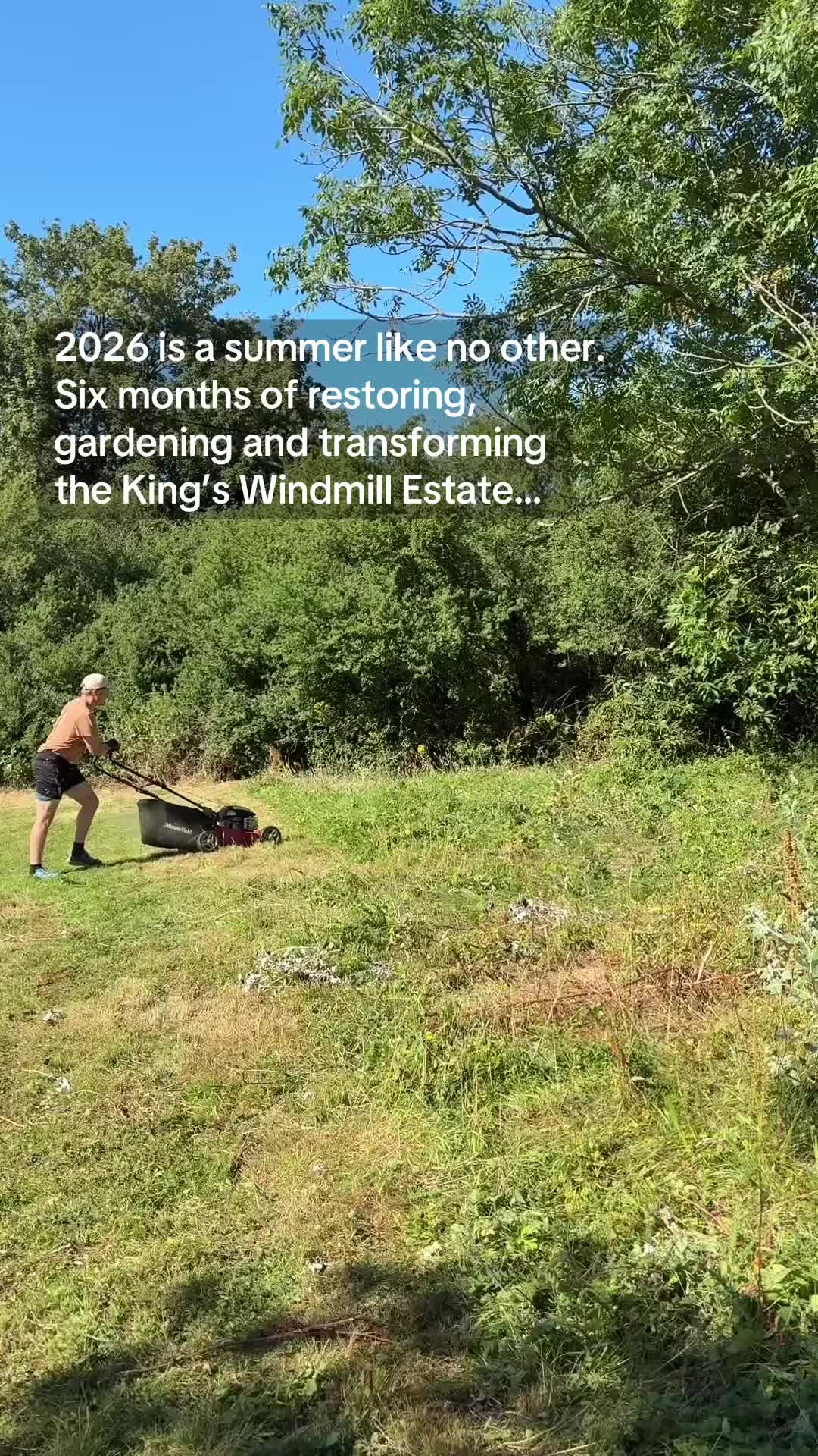 @Windmill Boy