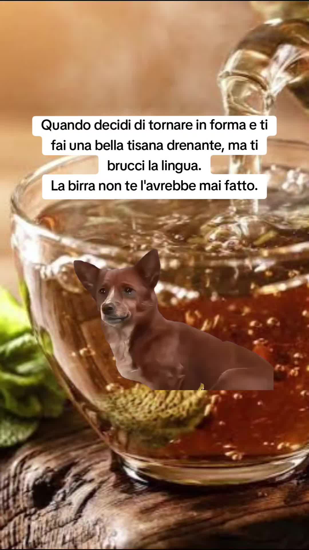 @Catzatte