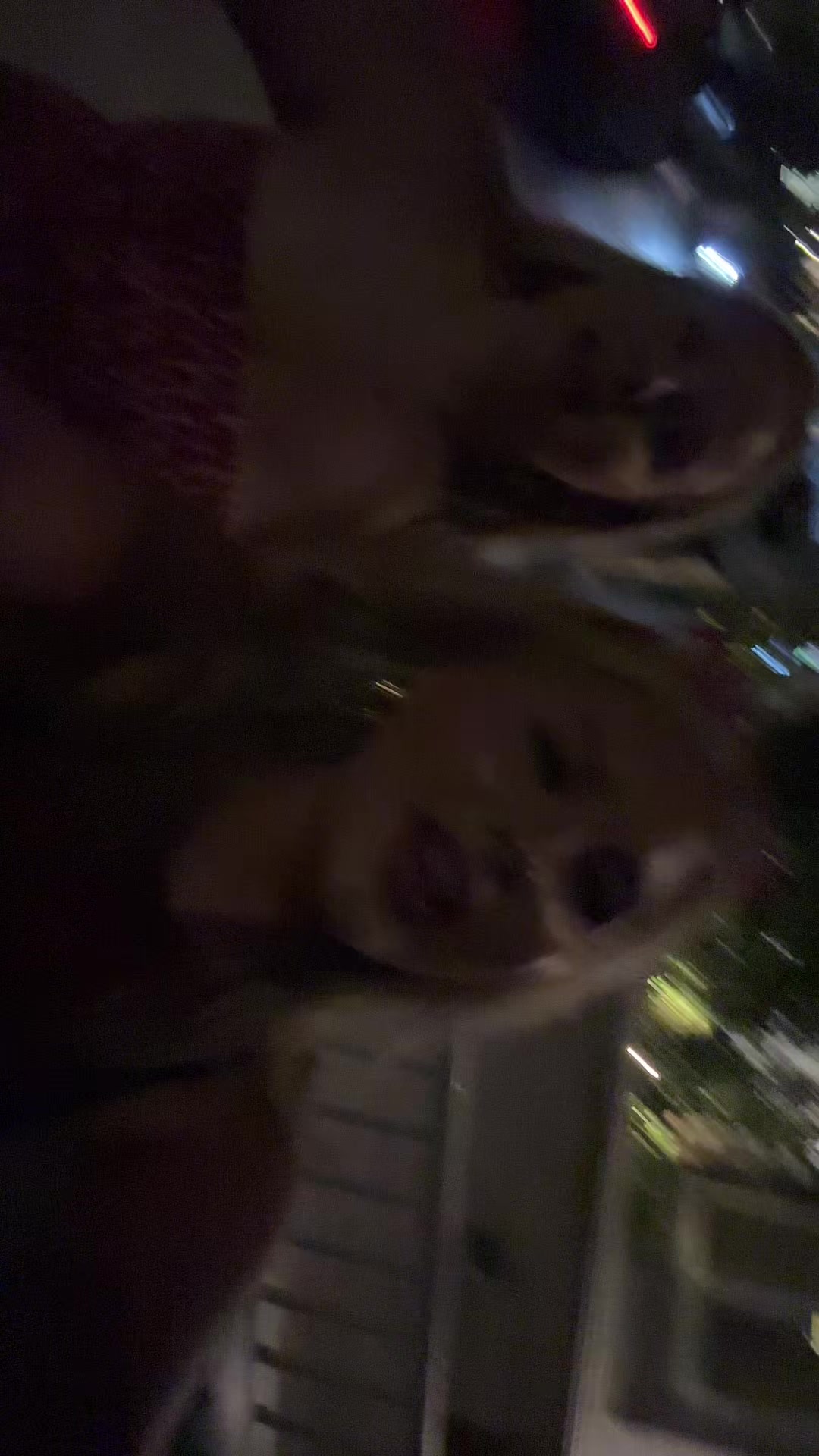 @Mia⭐️