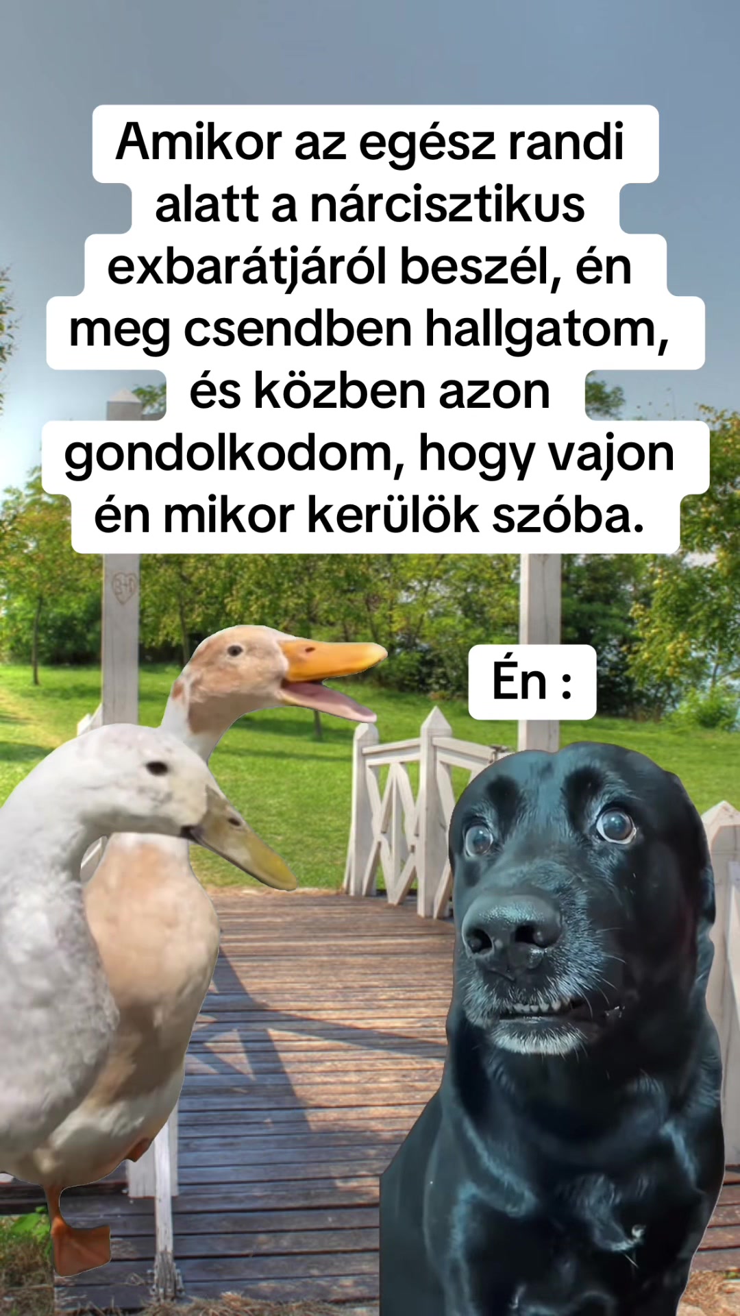 @Scuba a.k.a Esc