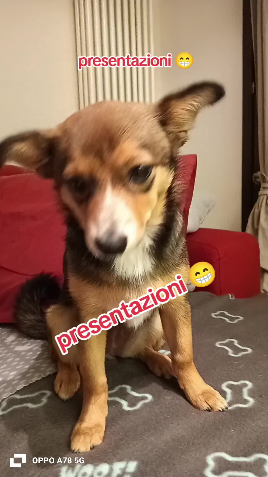 @briciola221dina24