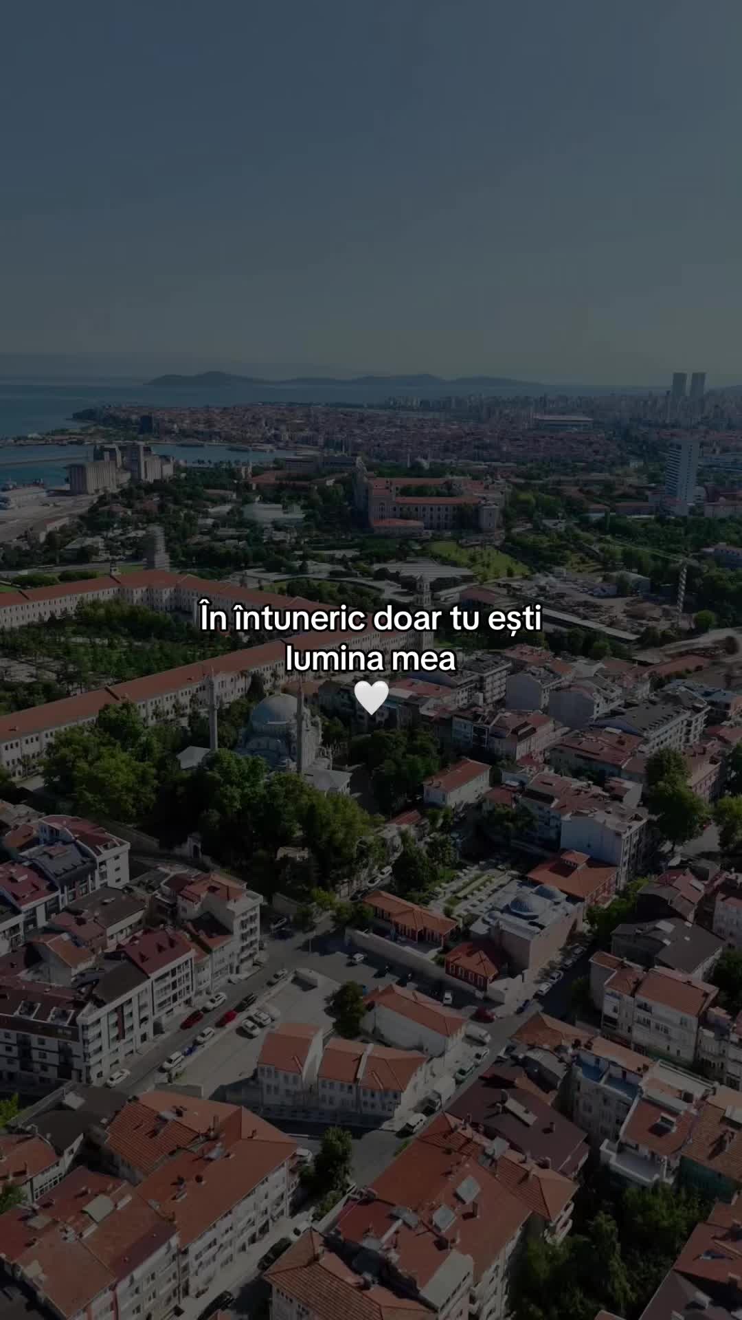 @Elisa A🥥