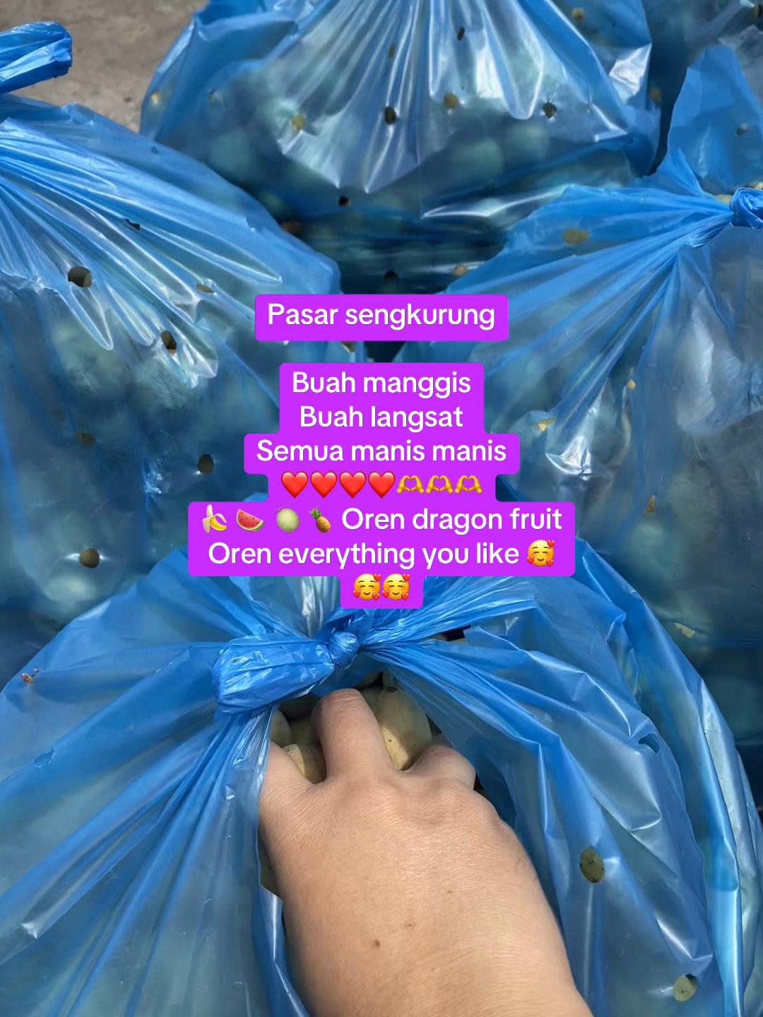 @paujiah