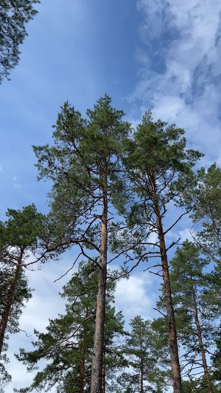 @martinmelgaardfje