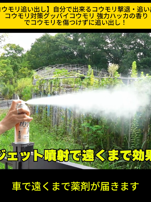 @KyotoTravelJP