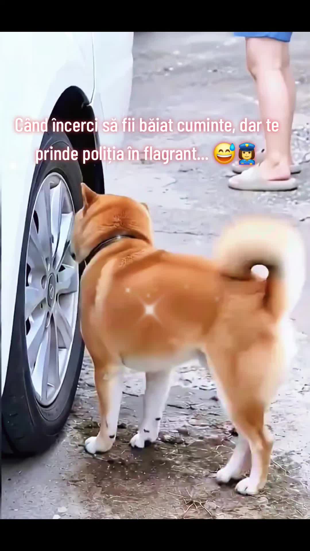 @🌐💎尺丹モÐ💎🌐