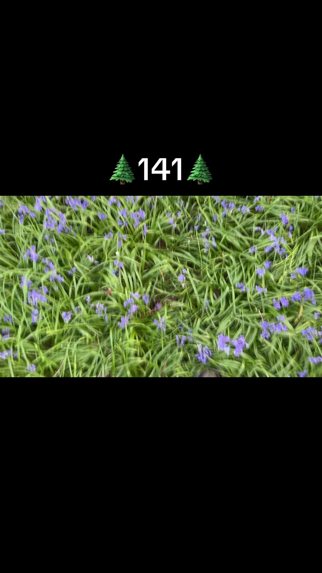 @nature__enjoyer141