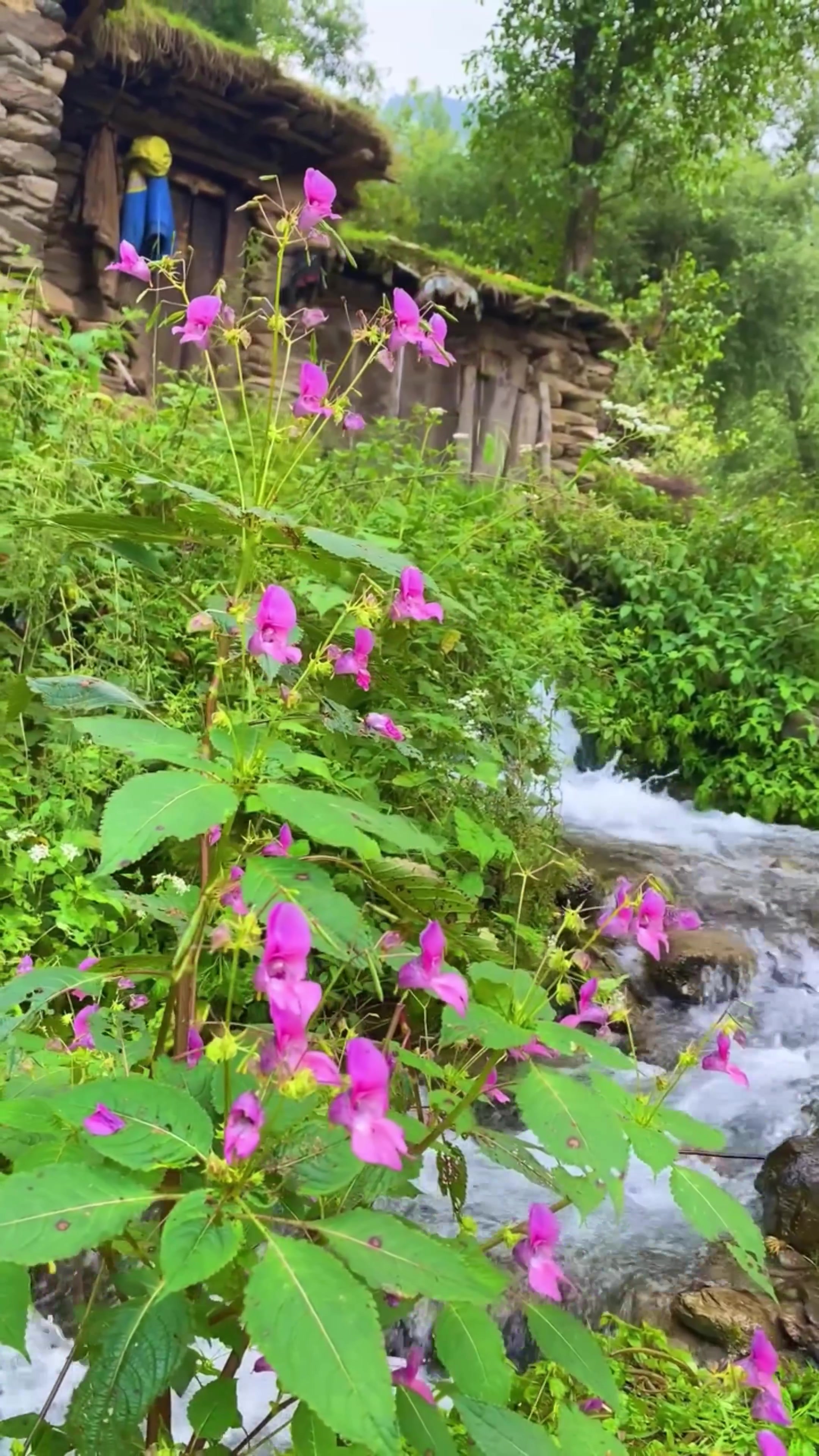 @World 🌍 beauty