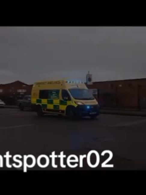 @blue light spotter02