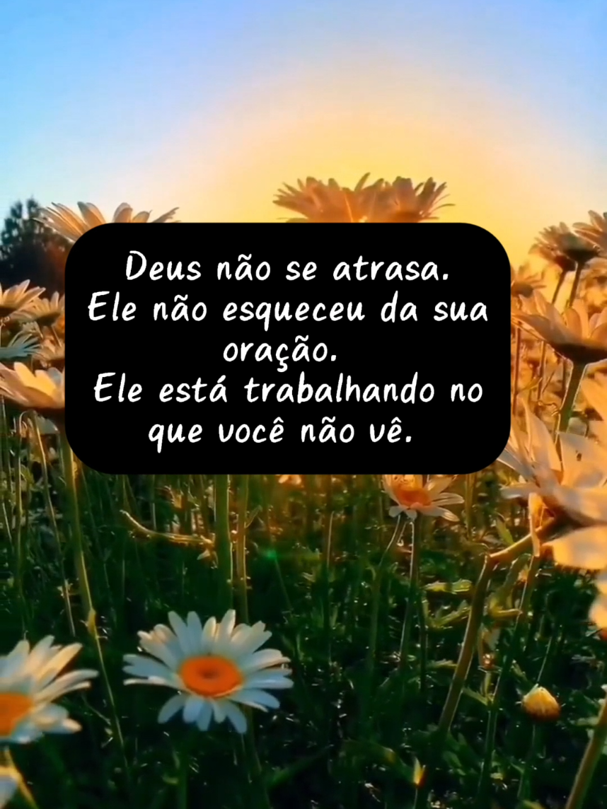 @Silverpir Mensagens