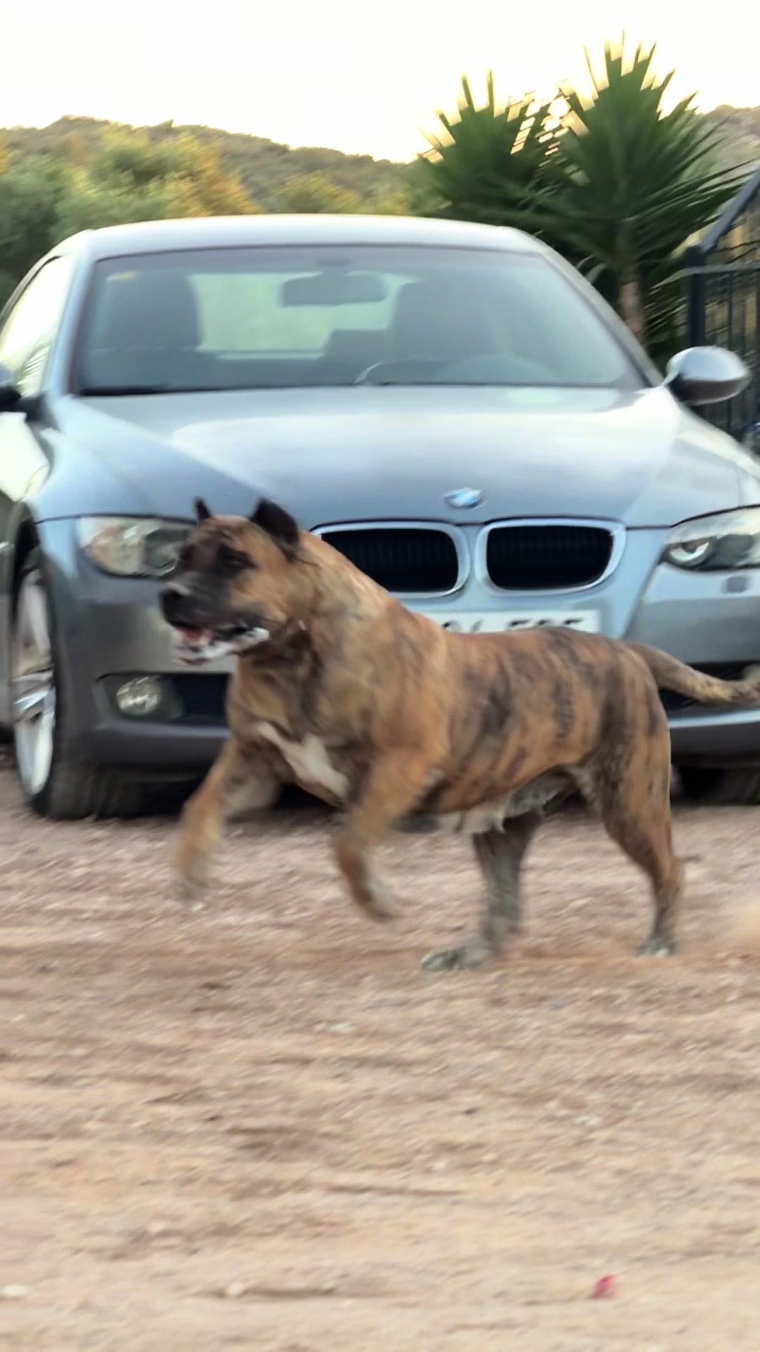 @Alberto Presa Canario Sanz