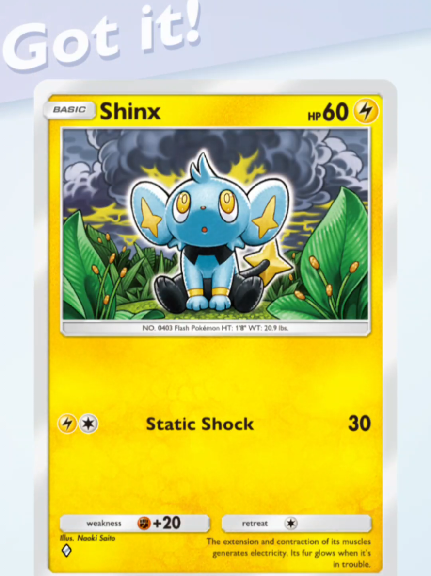 @Pokemon Playtimez - Nat