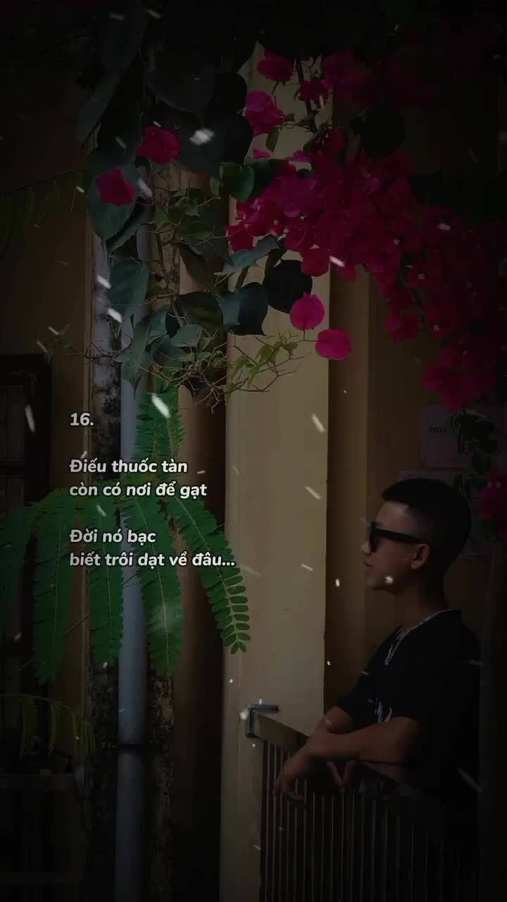 @đông xd