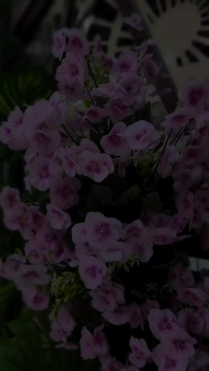 @𝓪𝓱𝓶𝓮𝓭 ¹⁸ 🦇