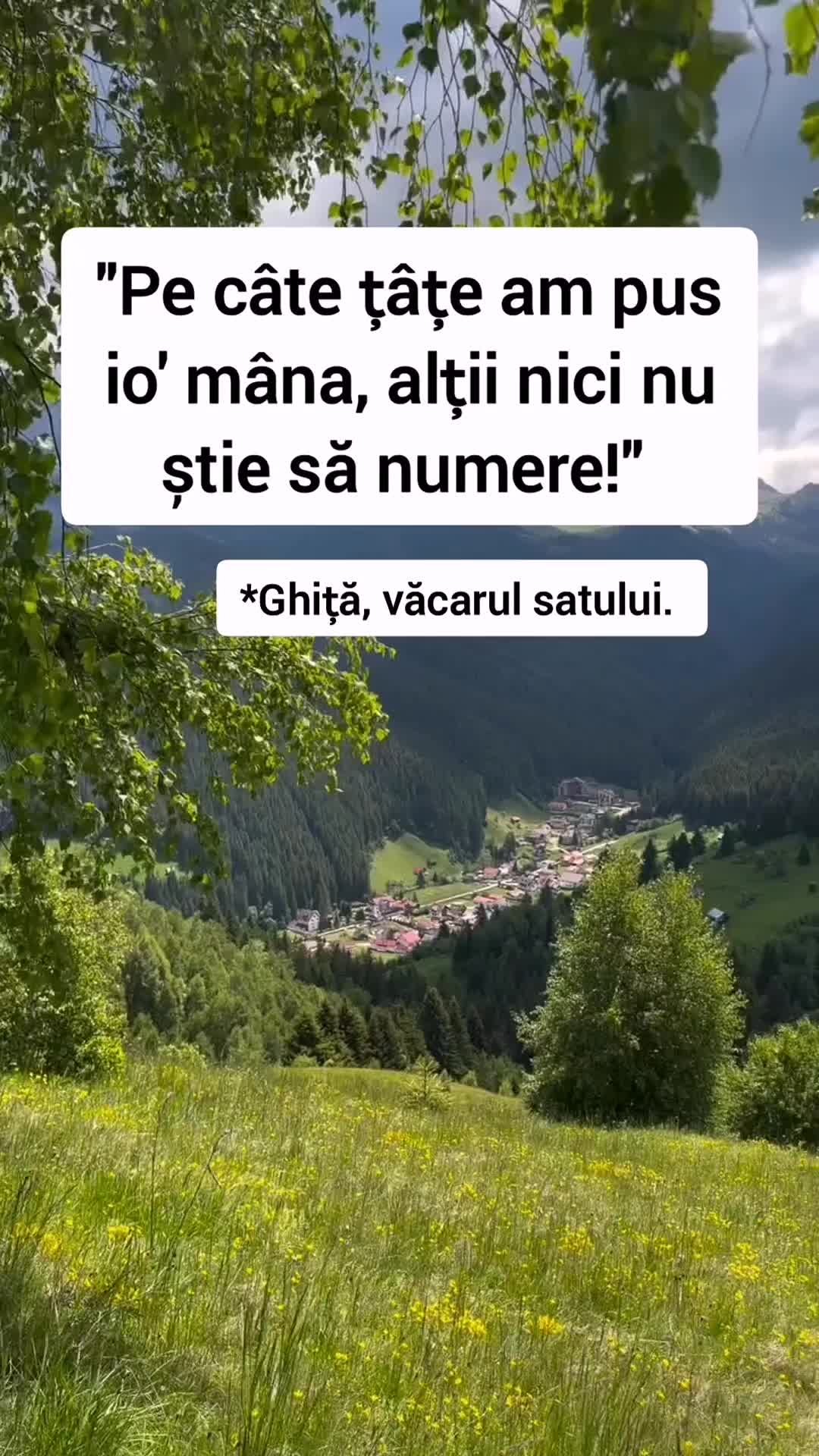 @ALIN