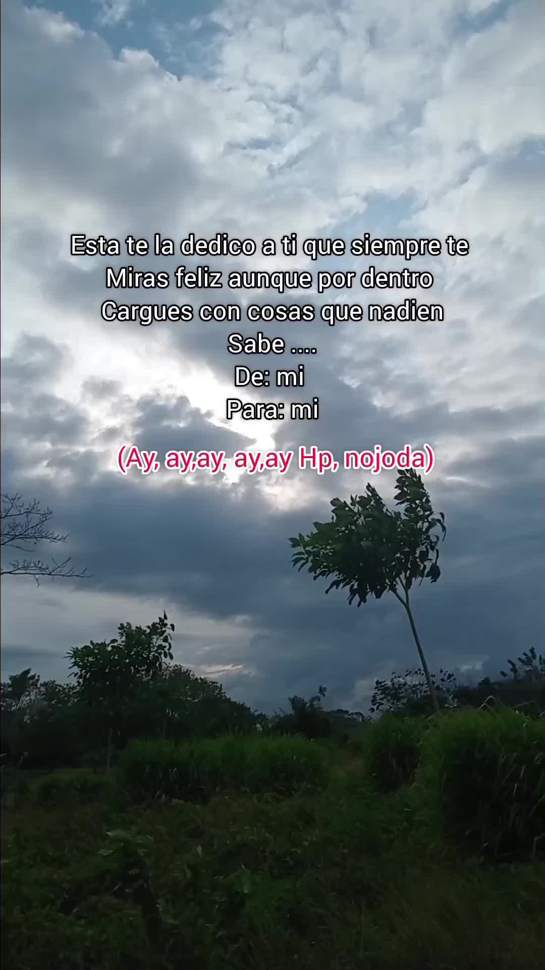 @YuLi🍒✨️❤️