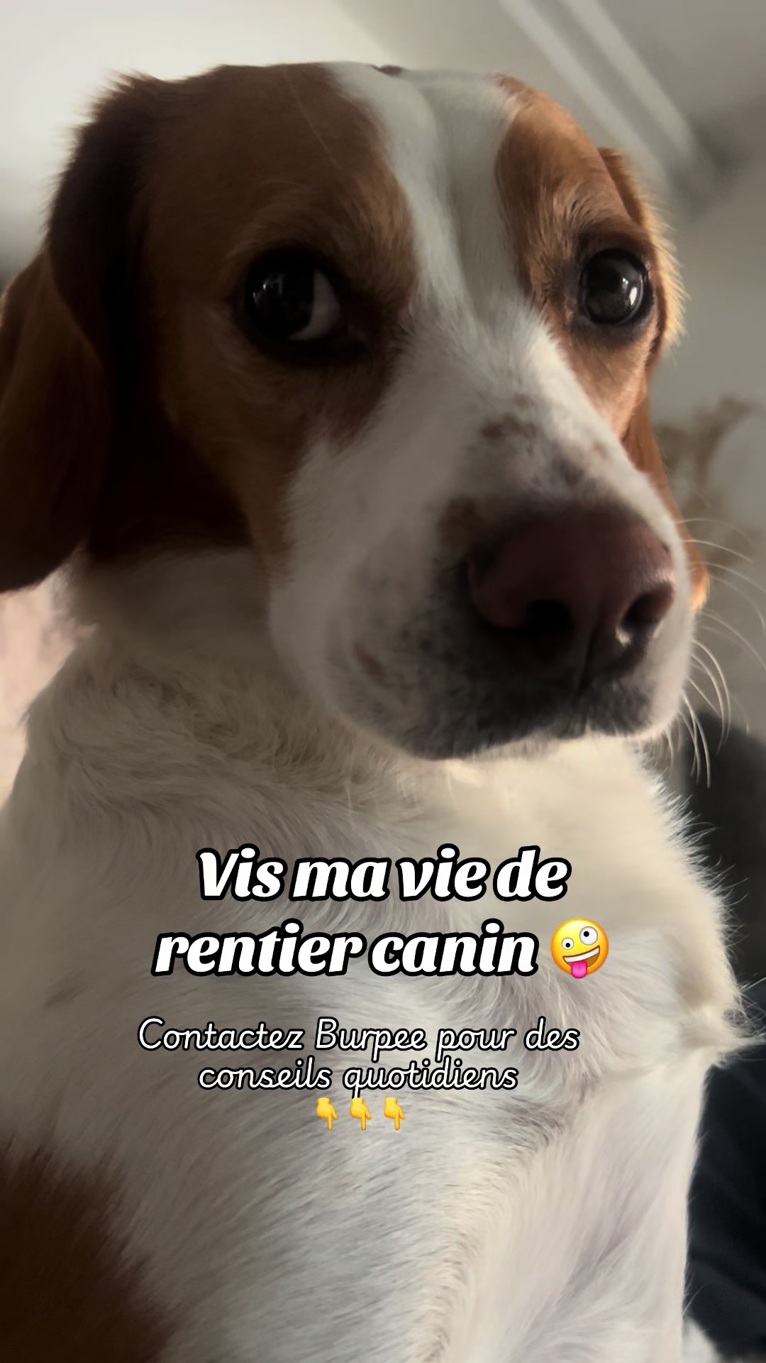 @Gaetane