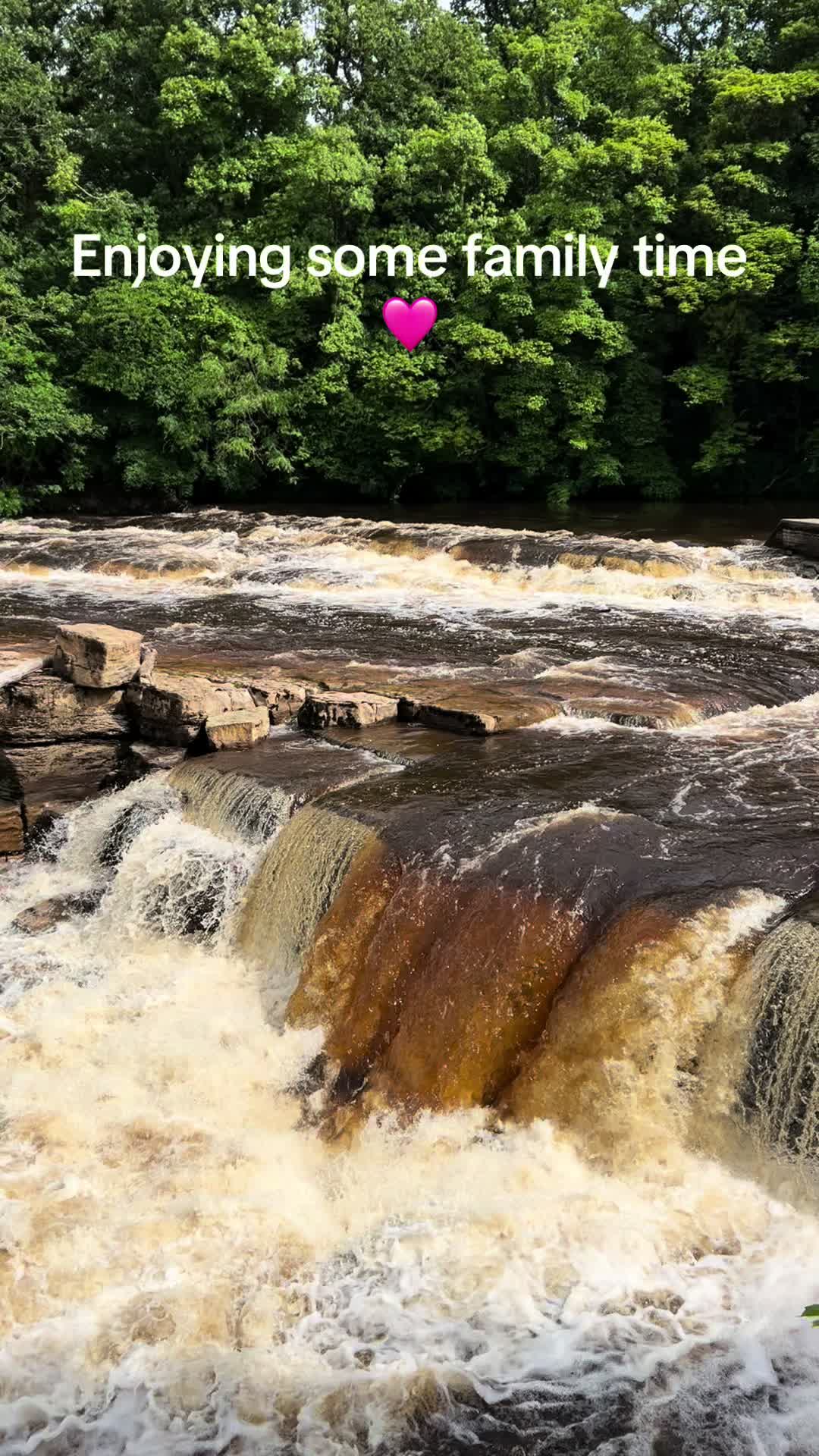 @justjaney1