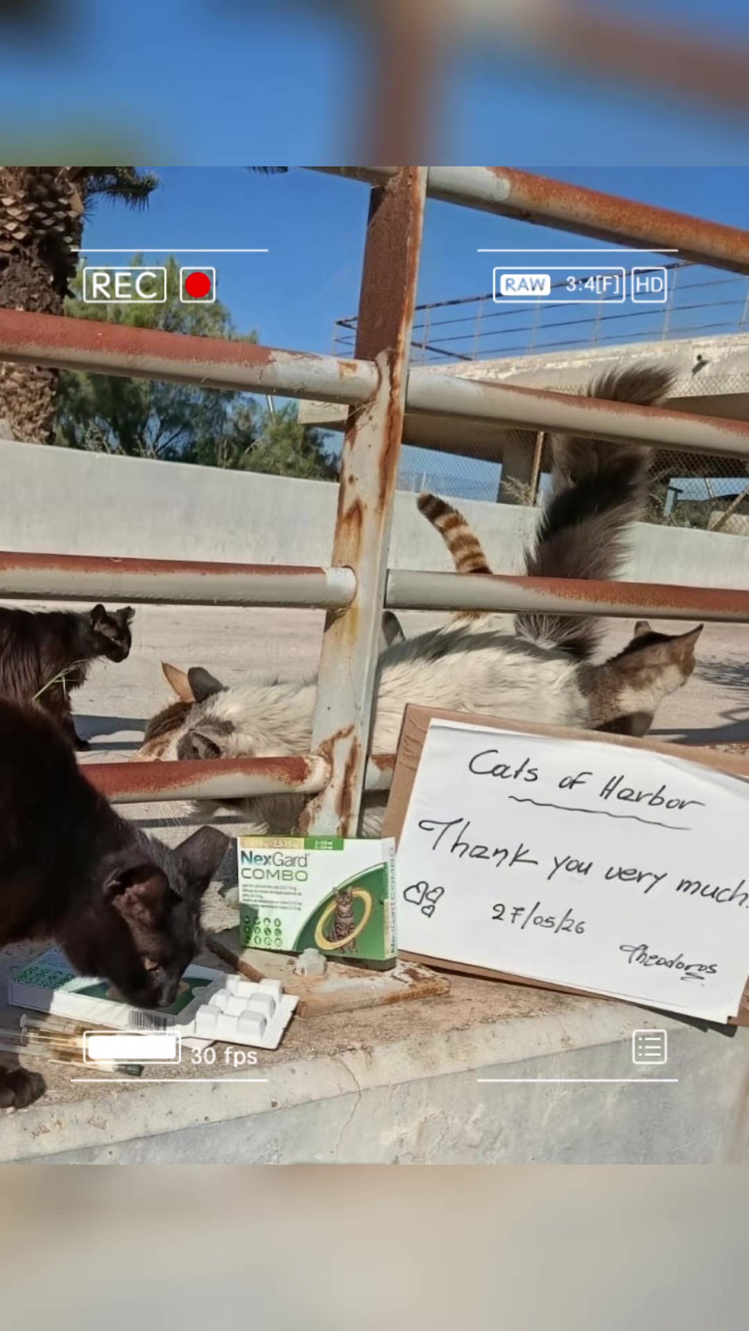 @Greek Animal Rescue
