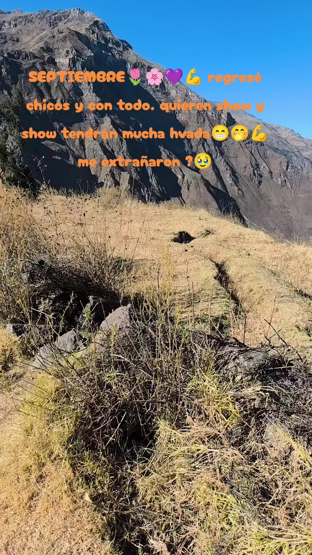 @HELEN❣️ 🐝🦋 RAYO DE LUZ 🦋🐝