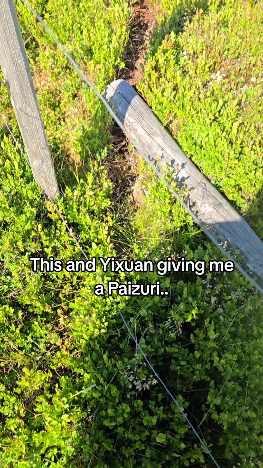 @Broke_Yixuan Lover