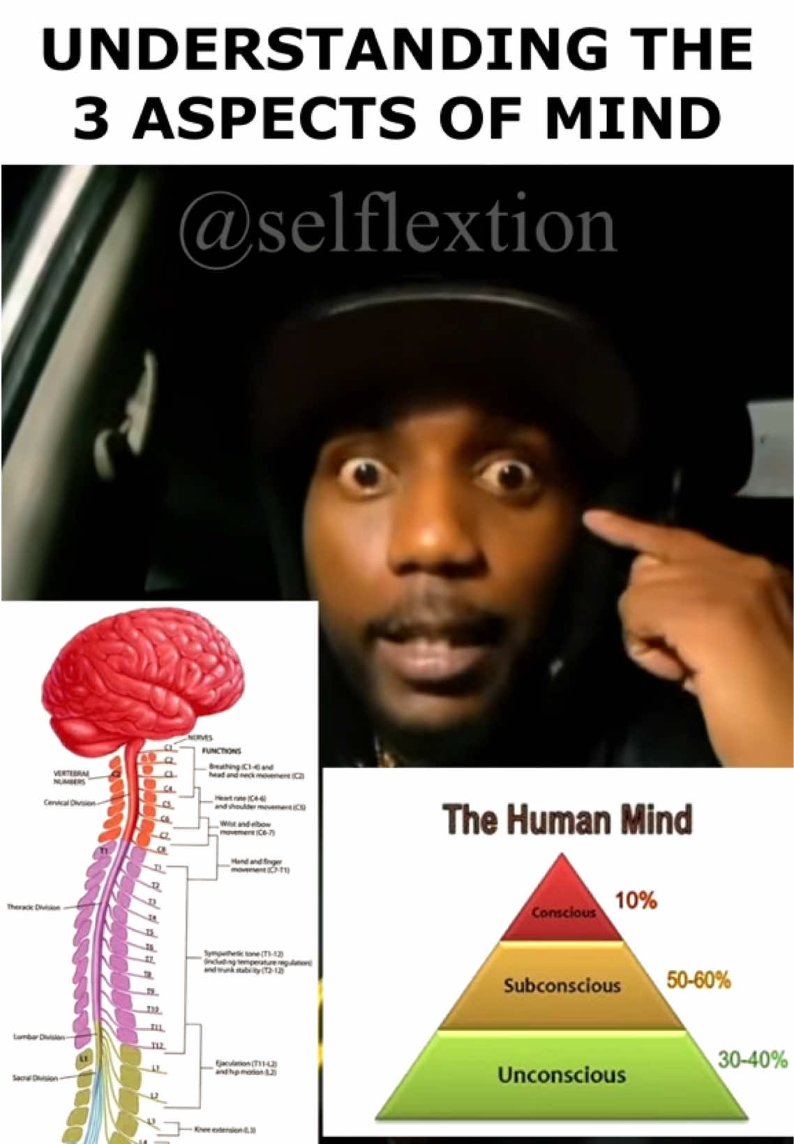 @Selflextion