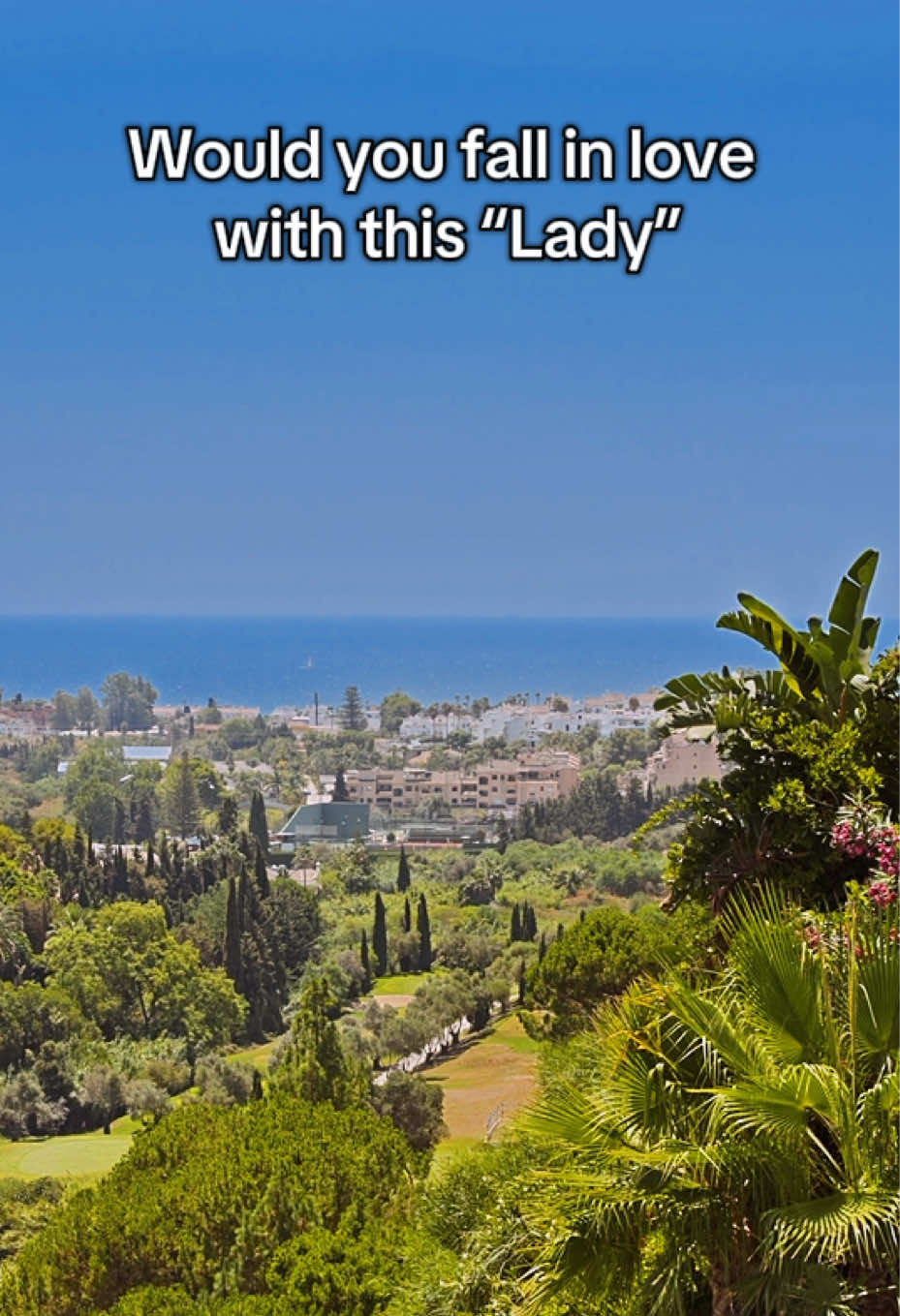 @Luxury Homes
