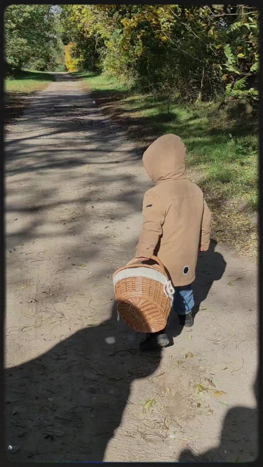 @einfalls.reich