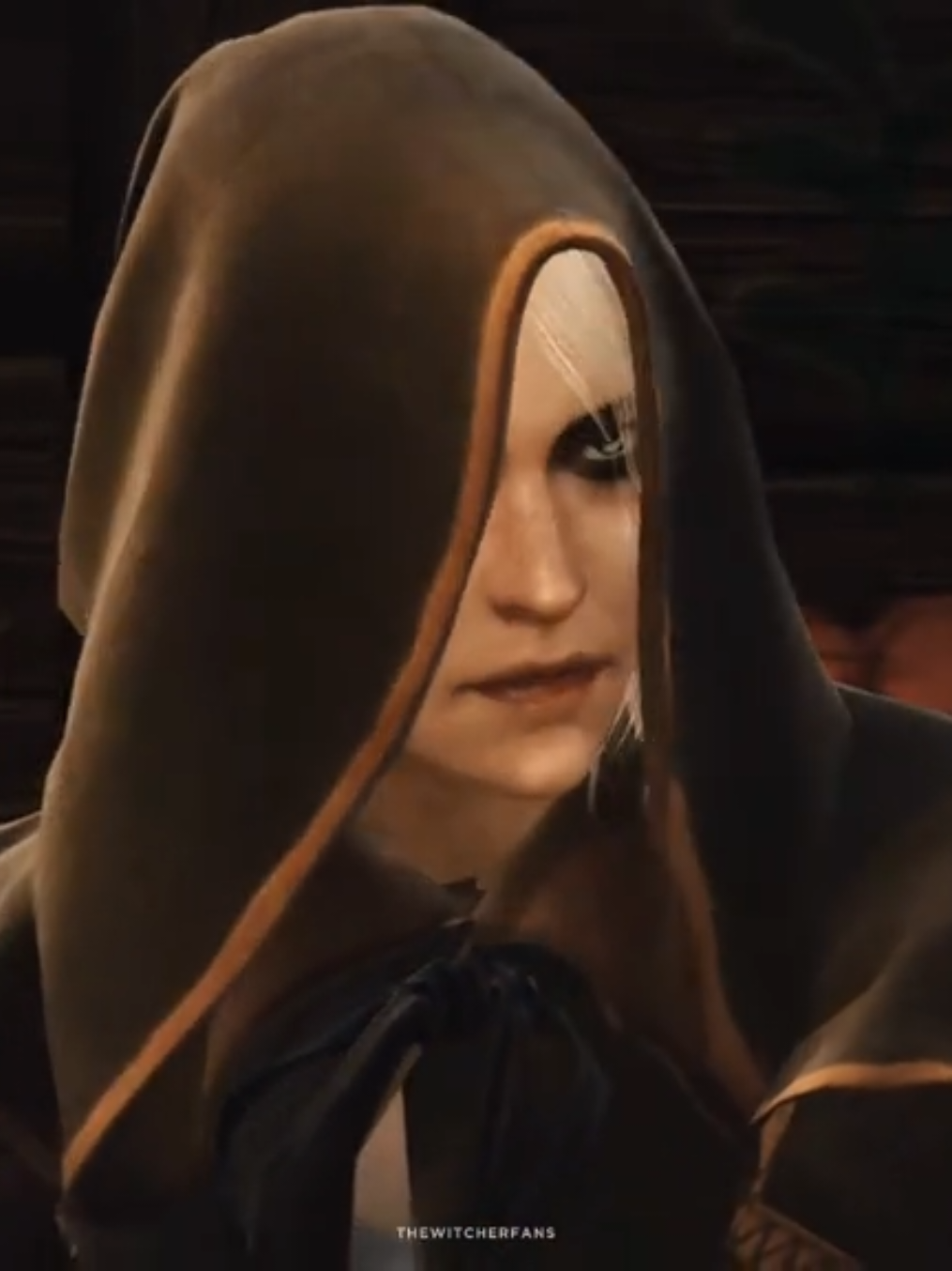 @The Witcher