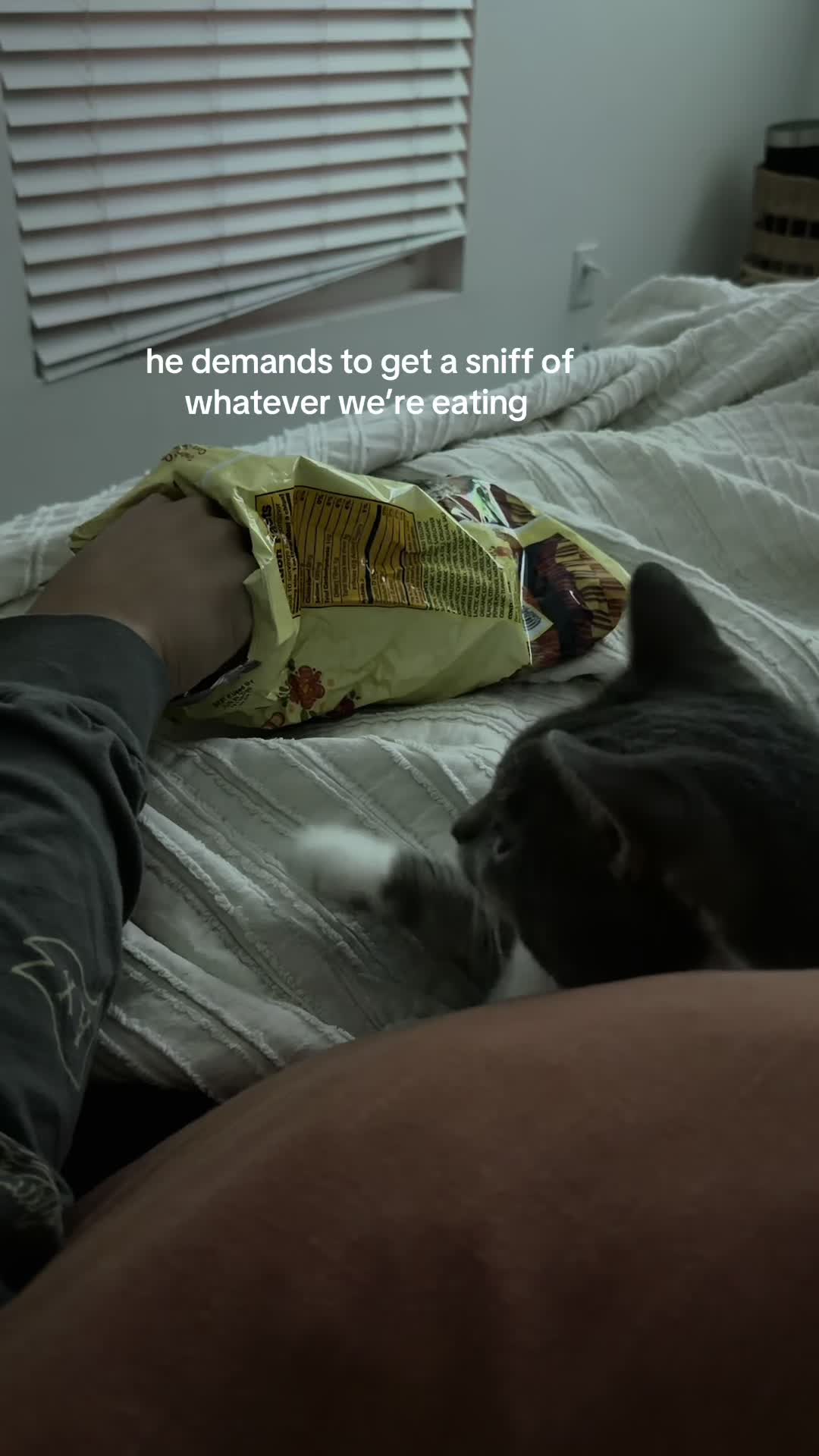 @Mel